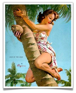 pin-up-tropical-palmier.png