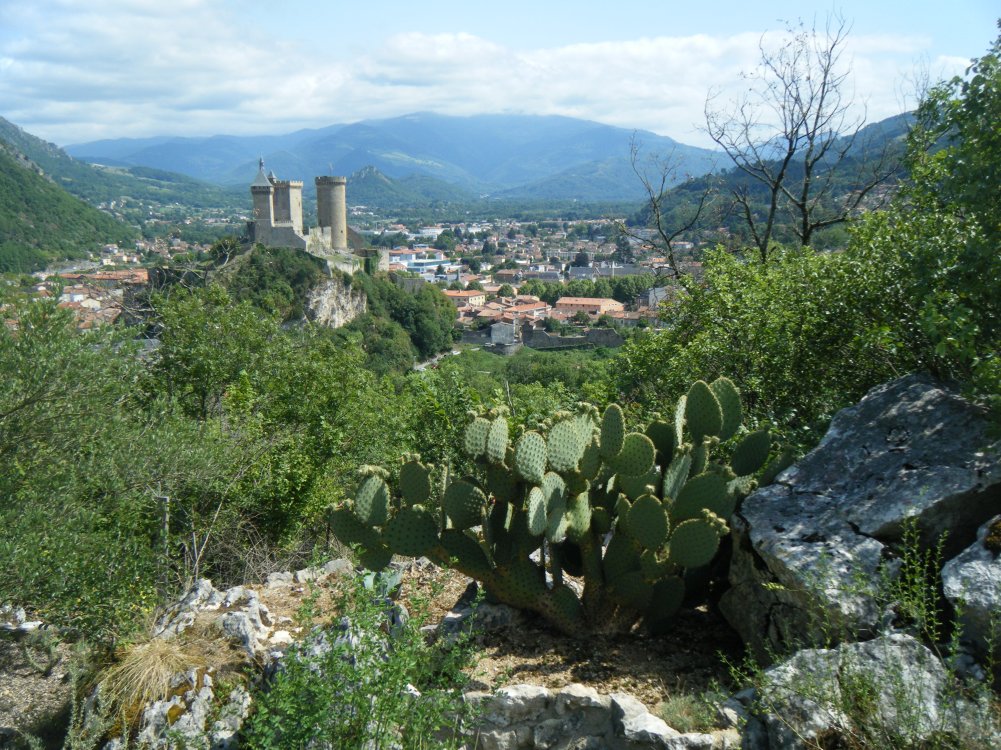 Vu du Château de Foix