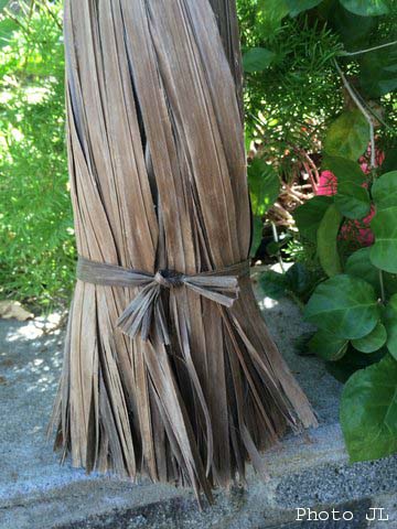 4 balai réalisé avec les palmes de Coccothrinax barbadensis.Il est encore utilisé  par quelques uns mais n'assure plus une source de revenus.jpg