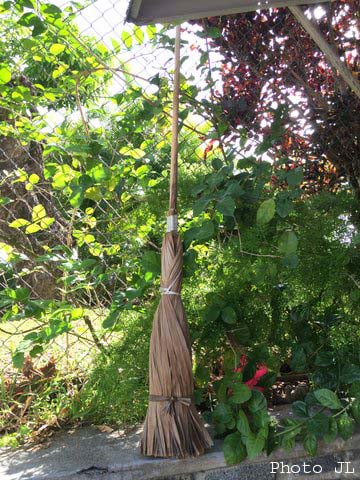 1 balai réalisé avec les palmes de  Coccothrinax barbadensis que chaque martiniquais utilisait chez lui.jpg