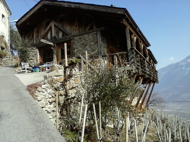 Vieille maison de pierre et de bois, avec vignes et olivier