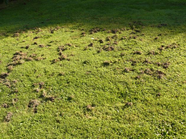 10 m2 ont environ été &quot;fouinés&quot;