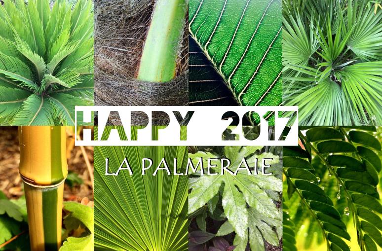 newyear-lapalmeraie2017small.jpg