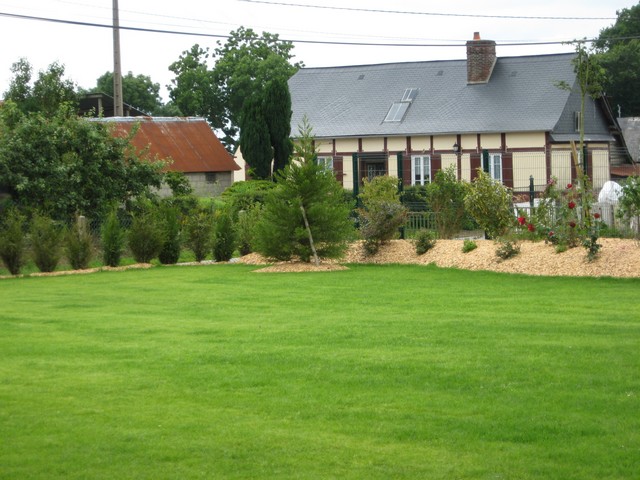 planter en juin 2008 celui avec le tuteur