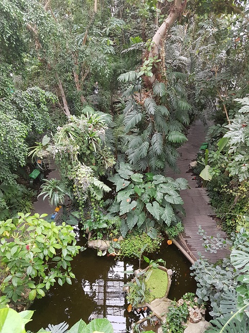 Serre jarddin des plantes Paris.jpg