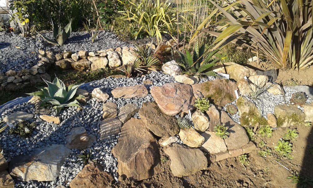 La rocaille a accueillis les plantes de LAMI