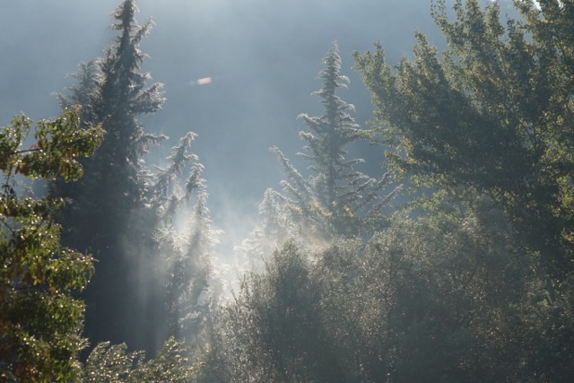 Quelle région ? En montagne ?