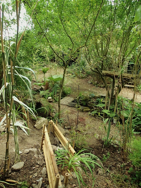 vue du talus réaménagé.jpg