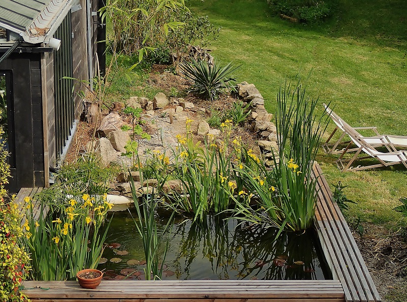 bassin _jardin sec.jpg