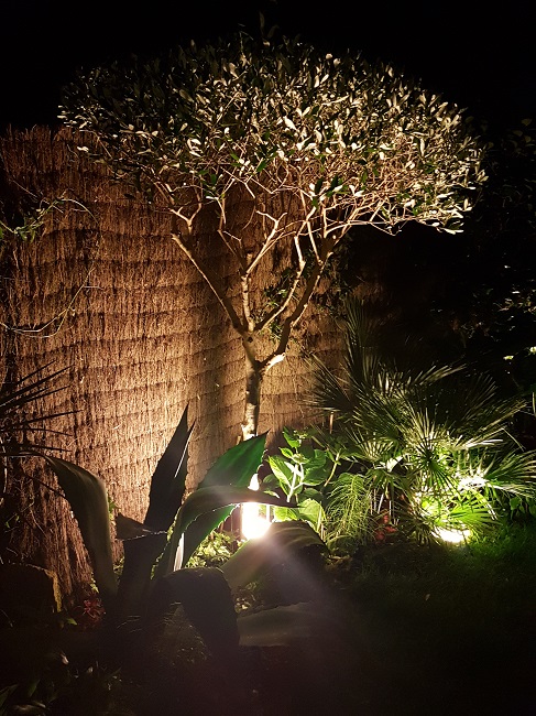 Jardin la nuit tropicale 27052017 (9).jpg