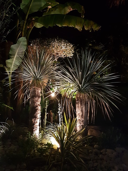 Jardin la nuit tropicale 27052017 (12).jpg
