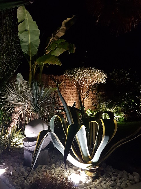 Jardin la nuit tropicale 27052017 (15).jpg