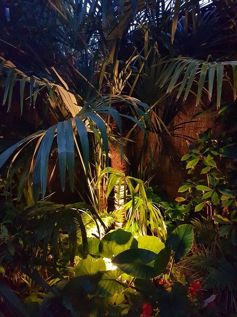 Jardin de nuit juin 2017 5.jpg